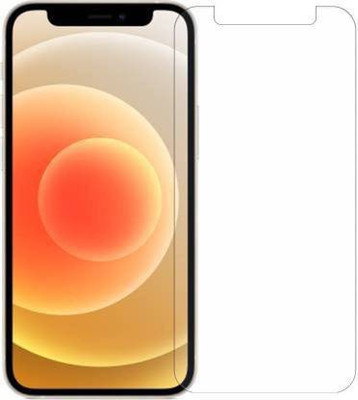 PONDRIK Front and Back Screen Guard for Apple iPhone XR FRONT(Pack of 1)