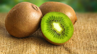 XOLDA Kiwi fruit Seed(16 per packet)