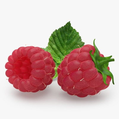 XOLDA Raspberry fruit Seed(35 per packet)