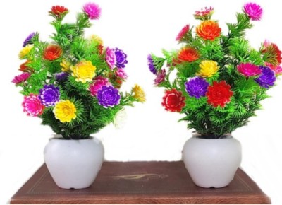 zonezer Artificial flower for home decoration pair set of 2 small table plant for office ,balcony ,dining table. yellow orange pink purple colour plant real look grass best product for gift. Bonsai Wild Artificial Plant  with Pot(20 cm, Green)