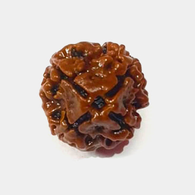 Shiv Kripa Rudraksha Kendra 4 Mukhi Rudraksha Nepali Wood Pendant