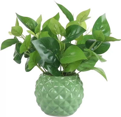 OriginalCeramics Plant Container Set(Ceramic)