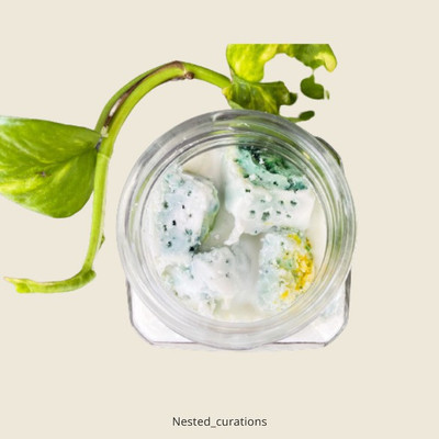 NESTED CURATIONS HandPored Soy LEMON-GRASS Fragrance Wax Candles - Made in India , Candle(White, Pack of 1)