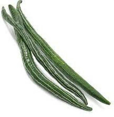 Aro Snake Gourd, Chichinda Seed(73 per packet)