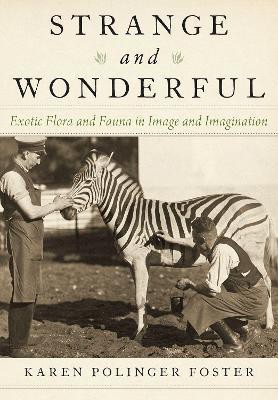 Strange and Wonderful(English, Hardcover, Foster Karen Polinger)