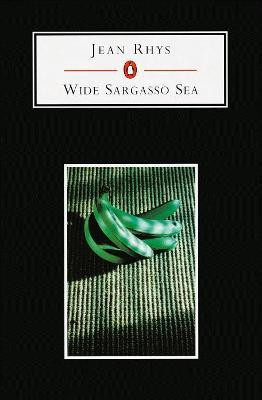 Wide Sargasso Sea(English, Paperback, Rhys Jean)