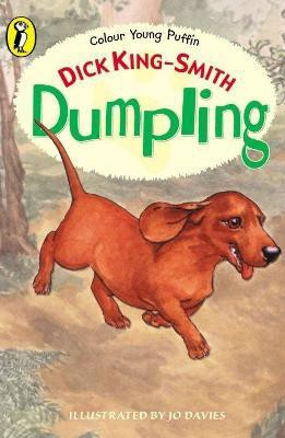 Dumpling(English, Paperback, King-Smith Dick)