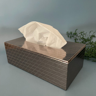 casagold 1 Compartments Pu leather, Mdf Tissue cover(Silver Grey)