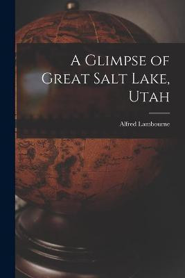 A Glimpse of Great Salt Lake, Utah(English, Paperback, unknown)