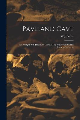 Paviland Cave(English, Paperback, unknown)