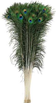 NEXTOMART Pack of 20 Decorative Feathers(25 Cm Peacock Feather)