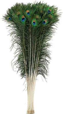 NEXTOMART Pack of 10 Decorative Feathers(25 Cm Peacock Feather)