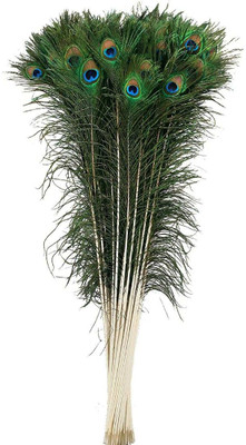 NEXTOMART Pack of 5 Decorative Feathers(25 Cm Peacock Feather)