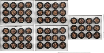 SOMETHING4U (Pack of 60) sambrani cup dhoop/buy original product from/MAA KRUPA CREATION Guggul Dhoop Guggul Dhoop(Pack of 60)