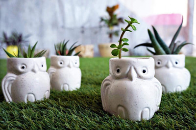 Bright Shop White Colour Owl Shape Pot Miniature Plant Container Set(Pack of 4, Ceramic)