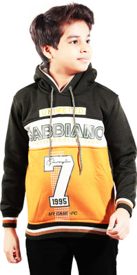 AD & AV Full Sleeve Printed Boys Sweatshirt