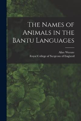 The Names of Animals in the Bantu Languages(English, Paperback, Werner Alice 1859-1935)