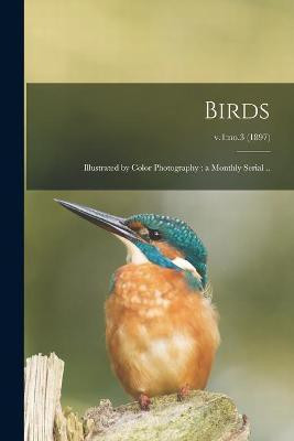 Birds(English, Paperback, Anonymous)