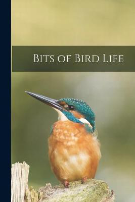 Bits of Bird Life(English, Paperback, Anonymous)