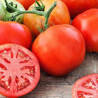 MKR Enterprises Tomato Seed(80 per packet)