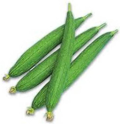 MAA Sponge Gourd, Luffa Seed(40 per packet)