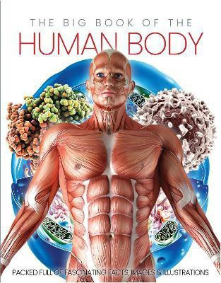 The Big Book of the Human body(English, Hardcover, Marsh Katherine)