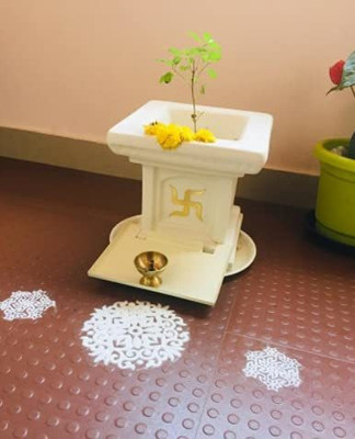 Cloud Farm Tulsi Plant(Hybrid, Pack of 1)