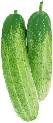 MAA Cucumber, Kheera Seed(213 per packet)