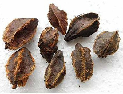 https://rukminim1.flixcart.com/image/400/400/kvcpn680/plant-seed/5/k/b/100-3-rk-seeds-original-imag8afmcsmeprss.jpeg?q=90