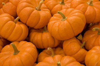 Aro Pumpkin Seed(108 per packet)