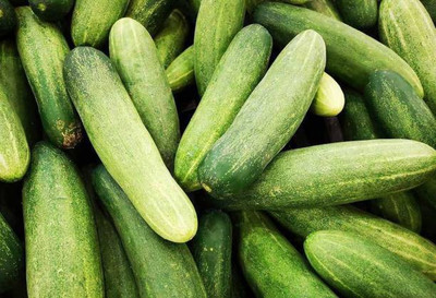 MAA Cucumber, Kheera Seed(157 per packet)