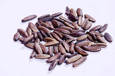 RK Seeds RK Seeds -Gulmohar Seeds -Ornamental tree seeds -Avenue Tree seeds Delonix regia seeds Pack of 100 g Seed(100 g)