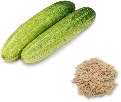 Chalisa Cucumber Seed(30 per packet)