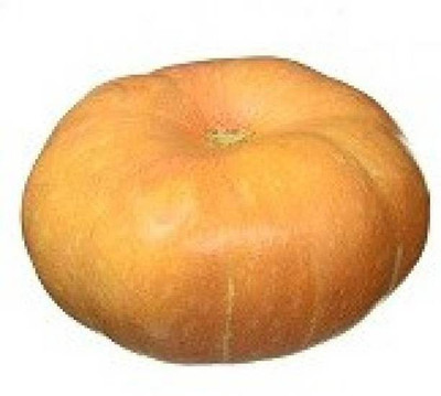 Aro Pumpkin Seed(143 per packet)