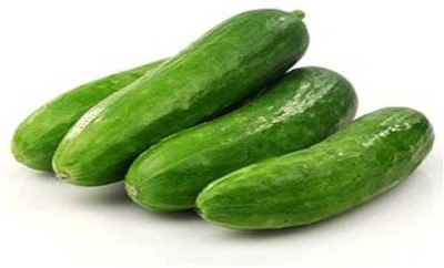 Chalisa Cucumber Seed(20 per packet)