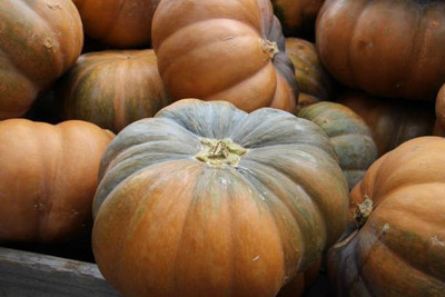 MAA Pumpkin Seed(31 per packet)