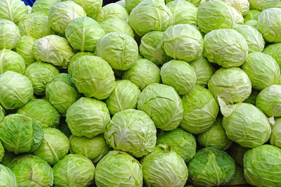 XOLDA Cabbage Seed(37 per packet)