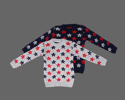 ANIXA Printed Round Neck Casual Baby Boys White, Blue Sweater