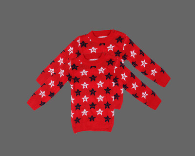 ANIXA Printed Round Neck Casual Baby Boys Multicolor Sweater