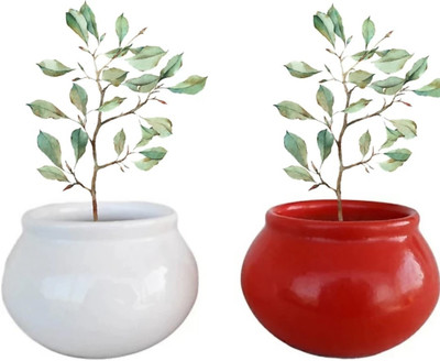 OriginalCeramics Plant Container Set(Pack of 2, Ceramic)