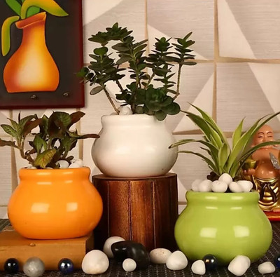OriginalCeramics Small Matki Pot Set Of 3 Plant Container Set(Pack of 3, Ceramic)