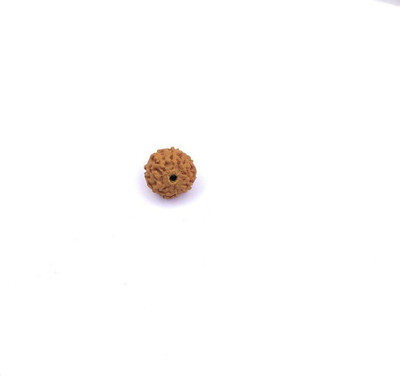 Raviour Lifestyle Raviour lifestyle 9 mukhi rudraksha Beads Wood Pendant