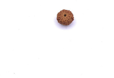 Raviour Lifestyle Raviour lifestyle 10 mukhi rudraksha Beads Wood Pendant
