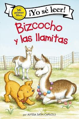 Bizcocho Y Las Llamitas(Spanish, Paperback, Capucilli Alyssa Satin)