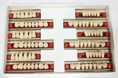 pyrax Dental Health & Wealth Double Layer Resin Teeth Type of 23/425 A3 Dental Elevator