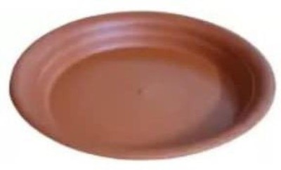 Naturally Green Round Tray for succulent Po 5 Plant Container Set(Pack of 5, Plastic)