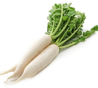 XOLDA Organic Radish Seed(86 per packet)