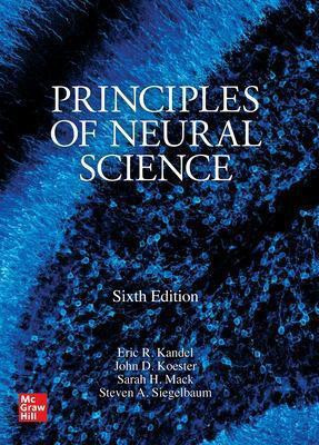 Principles of Neural Science, Sixth Edition(English, Paperback, Kandel Eric)