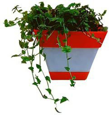 Naturally Green Plant Container Set(Pack of 2, Plastic)