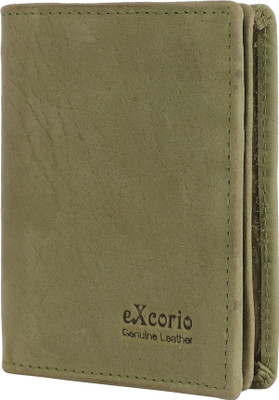 eXcorio 24 Card Holder(Set of 1, Green)